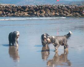 06 21 beach day Ventura