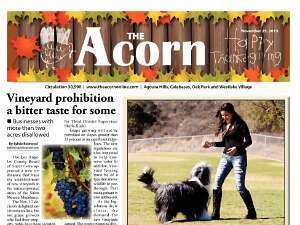 BCCSC Bounces and Parties