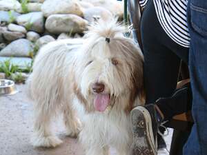 12-04-2016 BCCSC Holiday Party