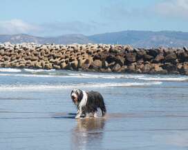 06 21 beach day