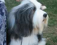 100_0064-winston
