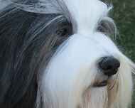 100_0065-winston