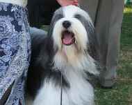 100_0067-winston