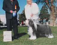 101_0157 BOW-dog show-winston-marilynn