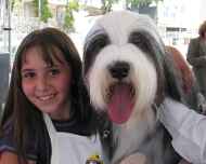 IMG_0109-dog show-winston-brittany