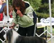 brittany-ebony-BOB4-nationall-dog show