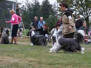 10 30 BCCA National
