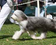 IMG_9064-quinn