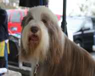 IMG_6405-rory
