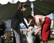 IMG_7320-sapphire-sarah-dog show