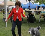 IMG_7404 willow-mary-dog show