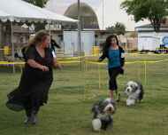 IMG_7445 sarah-sapphire-dog show