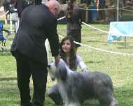 IMG_8669-sarah-Sapphire dog-show