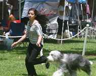 IMG_8887-Sarah-Sapphire-Juniors-dog show