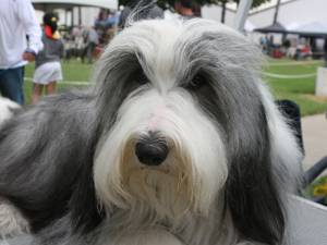 08 25 Santa Barbara