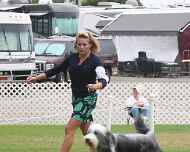 IMG_2853-dog show-beckham