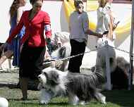 _MG_5702-bg