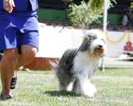 _MG_5767-hartley
