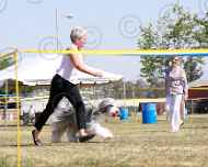 016-xavi-dog show