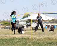045-sapphire-gracie-dog show-sarah