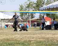 061-gracie-dog show