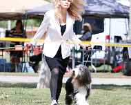 _MG_0396-bakersfield-dog show