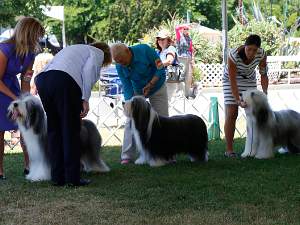 06 05 Thurs-Woofstock-NCBCF supported entry