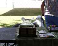 _MG_8569-dog show--table-decorations-trophies