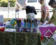 _MG_8582-dog show--table-decorations-trophies