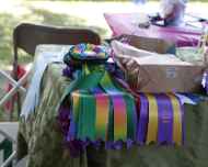 _MG_8607-dog show-table-decorations-trophies-ribbons