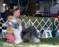 _MG_8730-dog show-laura