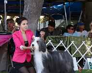 _MG_8759-dog show-sarah-sapphire
