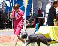 _MG_0887-ellie