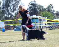 098-best of breed-gaby