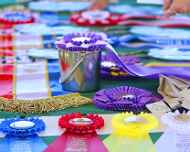 IMG_0144-ribbons-trophies-edit