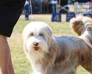 IMG_0772-Rolo