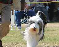 IMG_0826-Parker