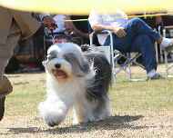 IMG_1274-Migo