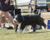 IMG_1422-Ellie