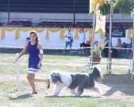 IMG_1818-sarah-parker