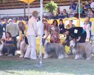 IMG_1978-parker-ducat-murphy-reese