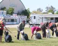 IMG_7001 Lineup