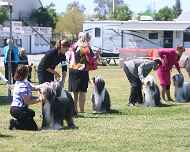 IMG_7003 Lineup