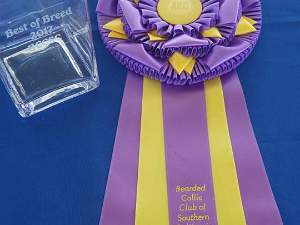 03 31 Trophies