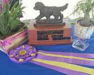2017 trophy-ribbon