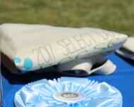 IMG_7031-trophies
