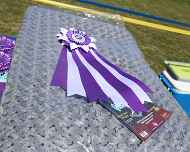 IMG_7035-trophies