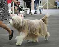 IMG_3288-rolo