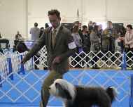 IMG_5193Everett-DelMar dog show
