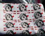 IMG_5814-dillon material for collars